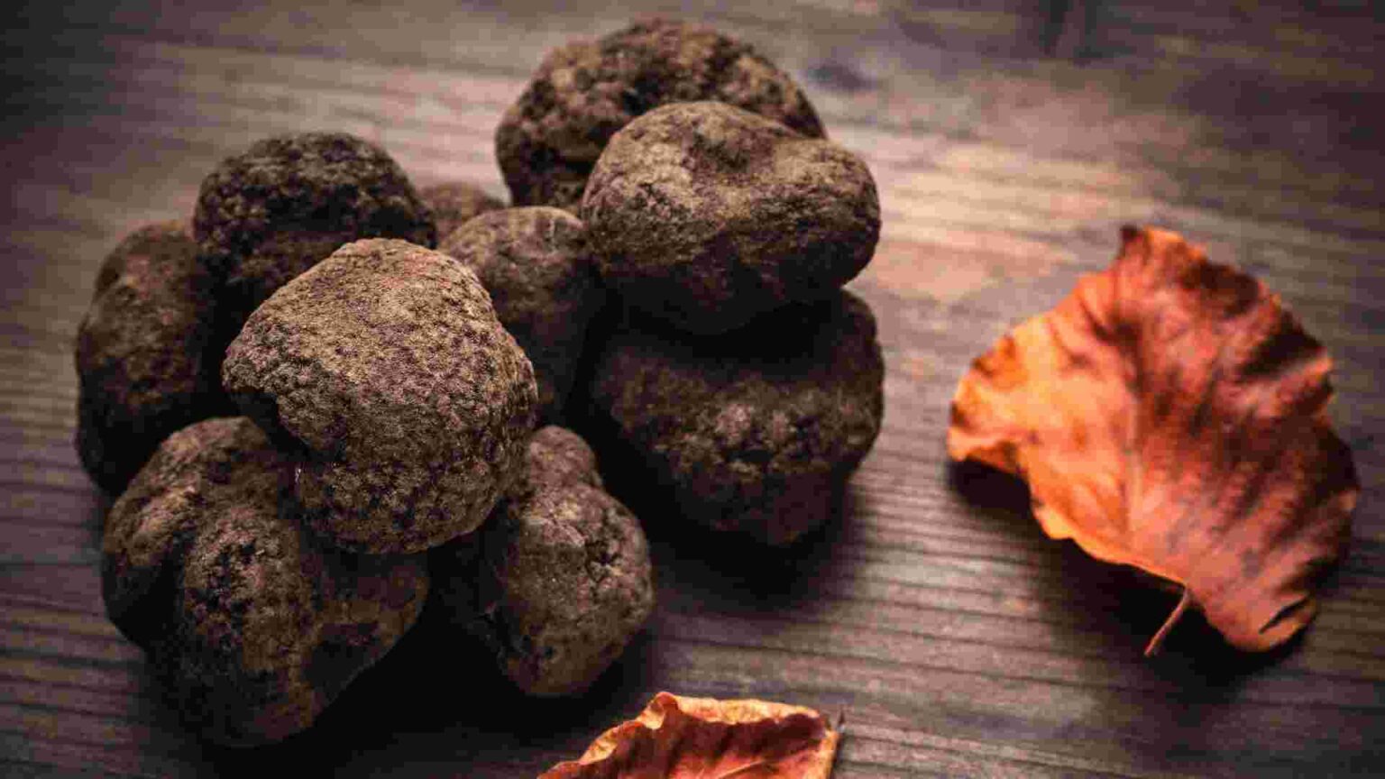 Trufas-negras-1536x864.jpg